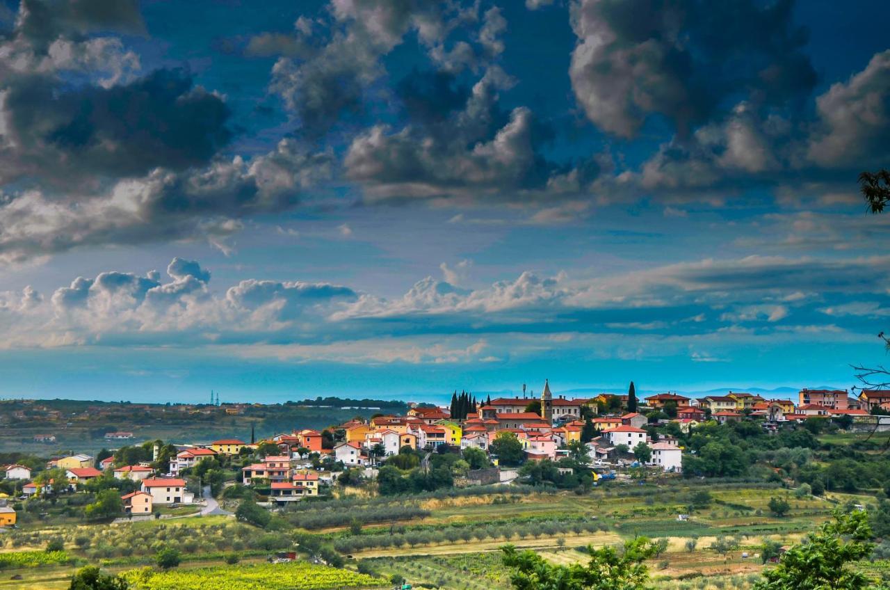 Wine & Apartment Vinales Koper Dış mekan fotoğraf