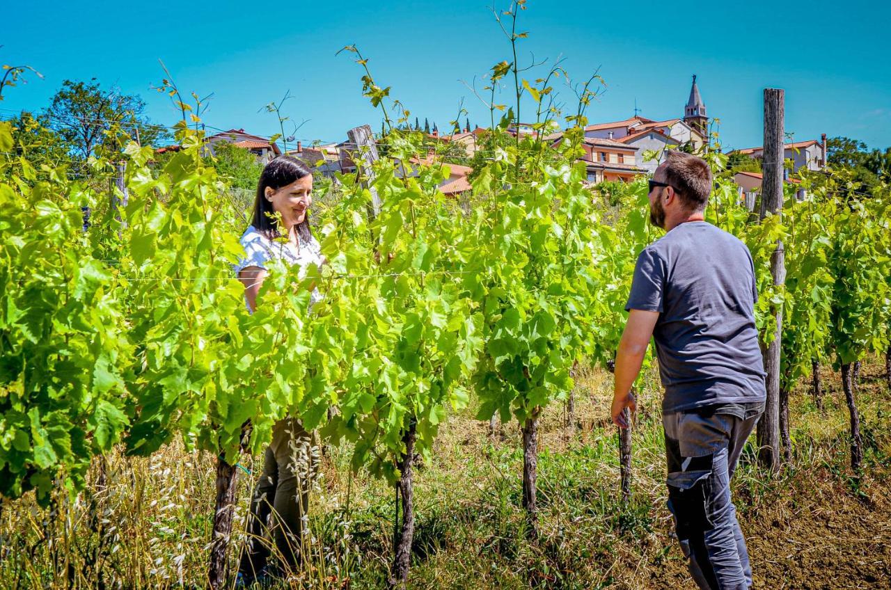 Wine & Apartment Vinales Koper Dış mekan fotoğraf